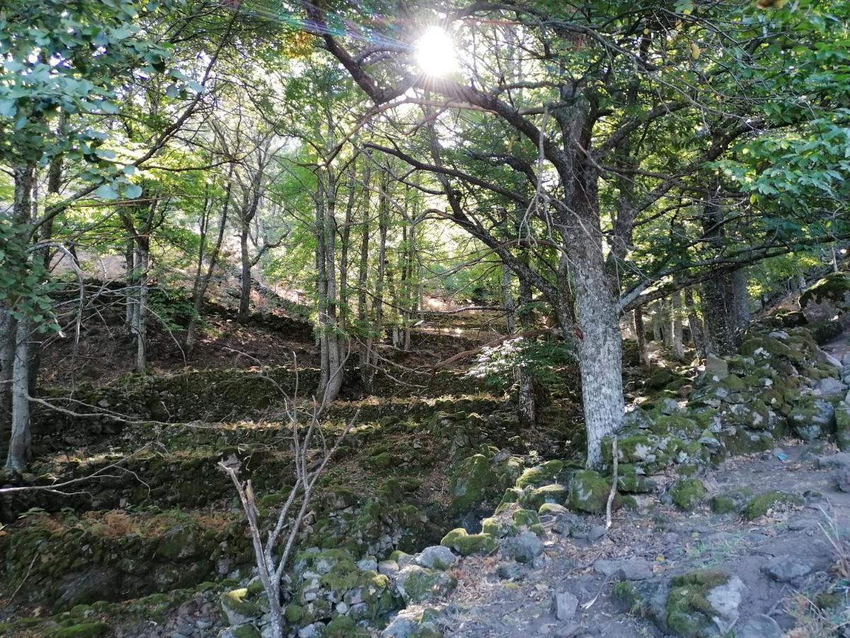 Ambroz Y Plata Βίλα Aldeanueva del Camino Εξωτερικό φωτογραφία